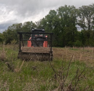 compact excavator supporting residential forestry mulching