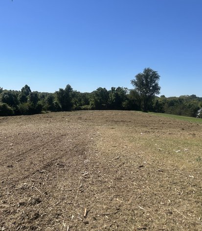 field cut low and opened up after brush hogging