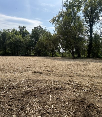 fully cleared acreage after forestry mulching