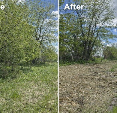 before and after fence line clearing