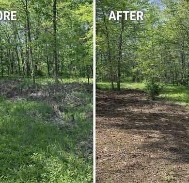 before and after food plot preparation