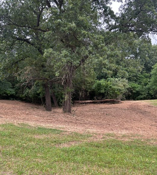reclaimed acreage after food plot clearing & site prep