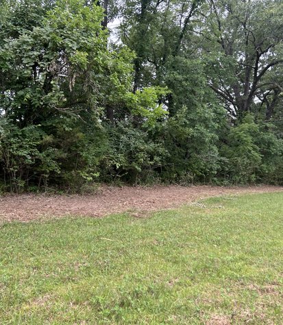opened fence line after clearing