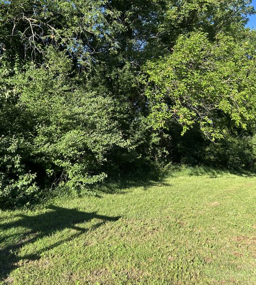 reclaimed acreage after crp field clearing & compliance