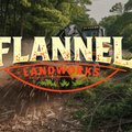 Forestry mulcher reclaiming overgrown residential acreage