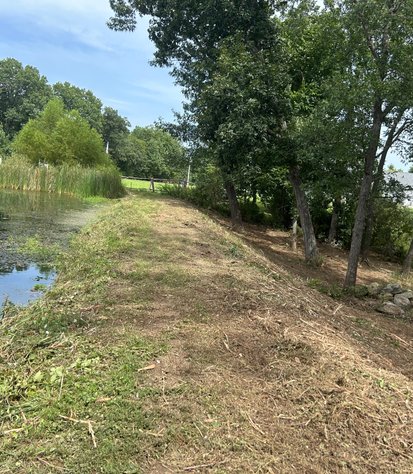 cleared access alongside a pond