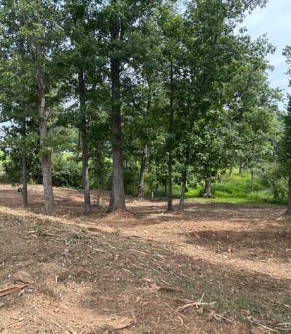 open acreage after brush clearing