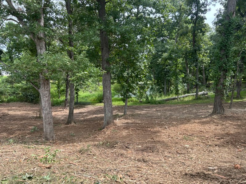 cleared wooded acreage with open sightlines