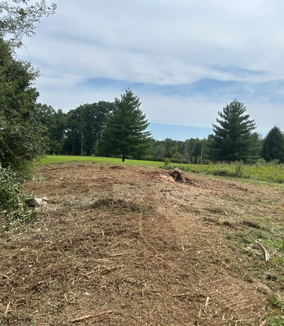 open acreage after vegetation clearing