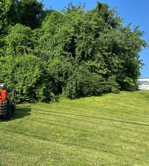 residential acreage opened by professional land clearing