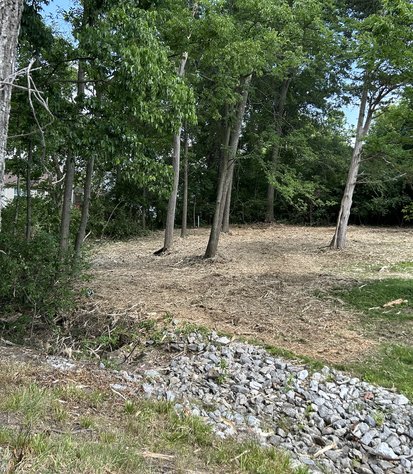 residential woodline opened after forestry mulching