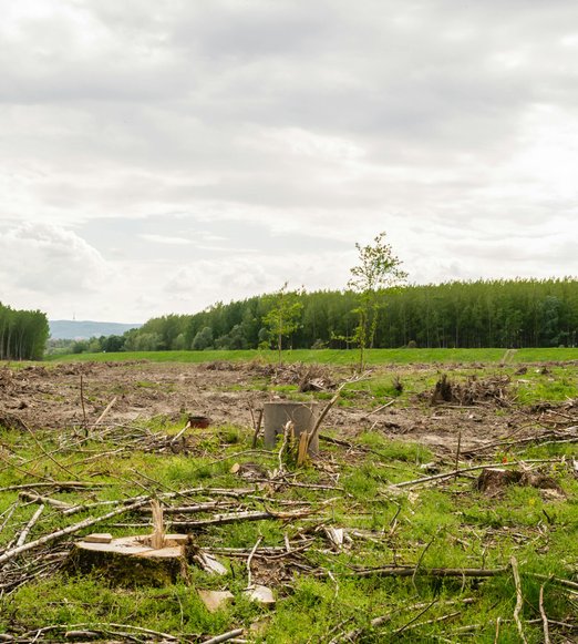 residential acreage reclaimed through land clearing