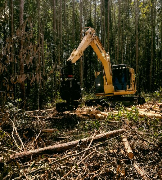 Land Clearing in Cottleville, MO equipment clearing dense brush