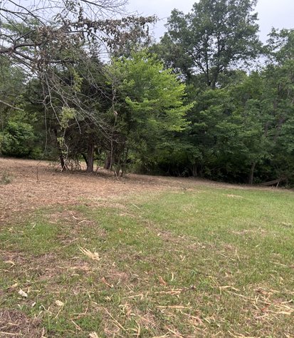 opened trail route after clearing