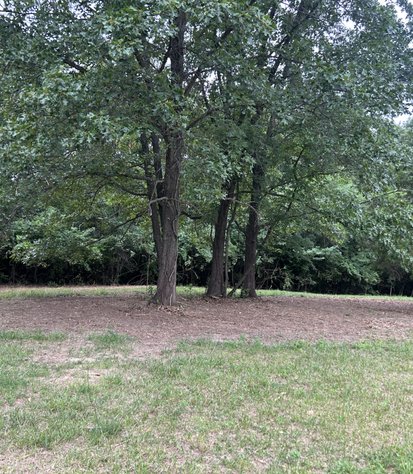 reclaimed field after clearing